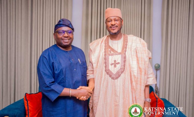 Gov Radda meets Minister of Power to discuss renewable energy collaboration