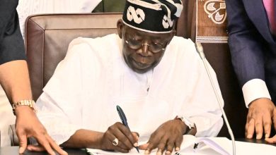 What President Tinubu Must Do To Grow Non-Oil Export In Nigeria  (10)