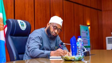 Niger governor announces 20-year development plan for Bida