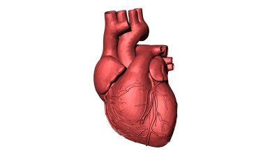 PT Healthwatch: Why Cardiovascular diseases are on the rise in Nigeria- Expert