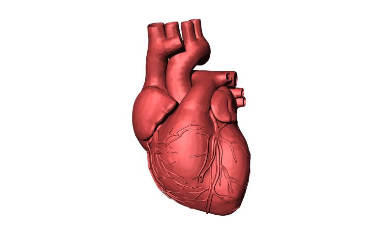 PT Healthwatch: Why Cardiovascular diseases are on the rise in Nigeria- Expert PT Healthwatch: Why Cardiovascular diseases are on the rise in Nigeria- Expert