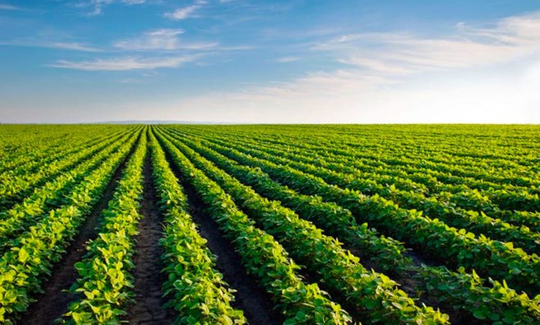 Nigeria, IFAD sign 8 million finance pact to boost agricultural productivity Nigeria, IFAD sign 8 million finance pact to boost agricultural productivity