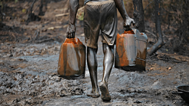Oil Theft: Nigeria losing more barrels of crude oil than some OPEC members produce – Senator
