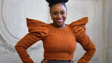 ‘I’ve no regrets welcoming my twins through surrogacy’ – Chimamanda Adichie