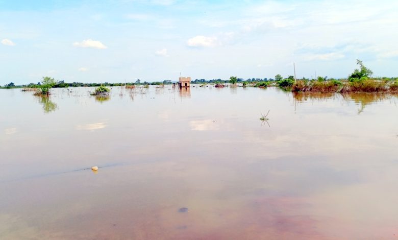 21 people dead, 10 missing in Niger flood disaster – NSEMA 21 people dead, 10 missing in Niger flood disaster – NSEMA