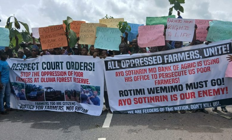 Again, Ondo farmers protest forceful eviction from forest, block highway Again, Ondo farmers protest forceful eviction from forest, block highway