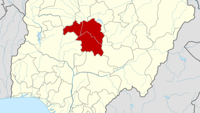 10 remanded for alleged rape of disabled girl in Kaduna