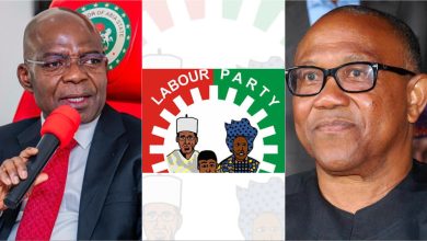 Labour Party faction suspends Abia governor, Nwokocha, others