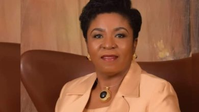 FEC Approves Group Life Insurance For Govt Officials, Civil Servants