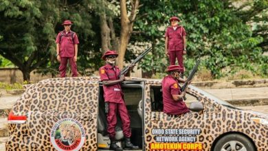 Insecurity: Amotekun receives 500 distress calls in three months, profiles 750 suspects