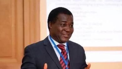 Kidnapped Nigerian professor freed