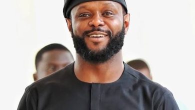 Just mention Seyi Tinubu, you’ll go viral, By Mike Ochuko