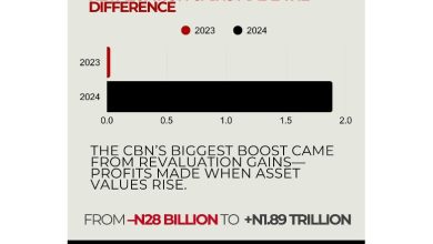 INFOGRAPHICS: Charts that explain CBN’s 2024 financial position