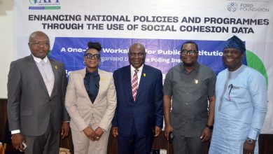 Experts urge Nigerian government to leverage social cohesion data for policy reform