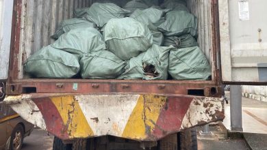 Nigeria Customs intercepts 13.6kg dry donkey skin worth N3.6 billion – Official Agency report