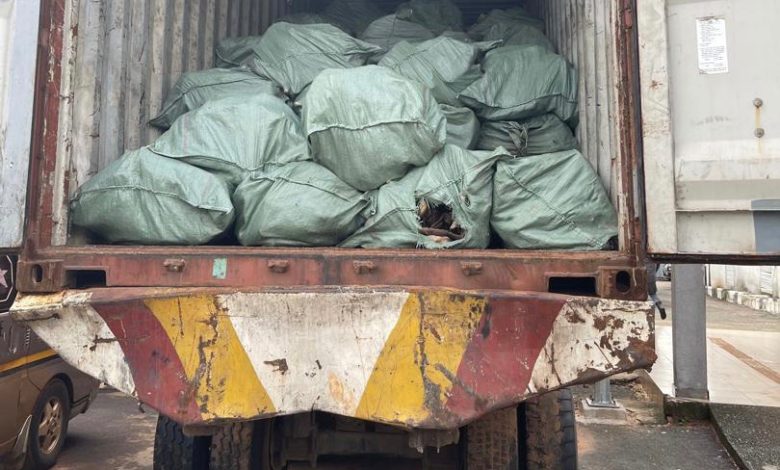 Nigeria Customs intercepts 13.6kg dry donkey skin worth N3.6 billion – Official Agency report