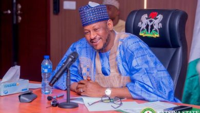 Katsina’s Radda: Beyond the reach of political scammers, By Khaleed Yazeed