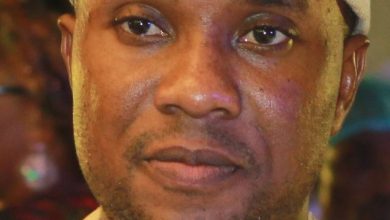 NIPSS: Silent on cybercrime, loud on bullying, By AbdulRahman AbdulRaheem