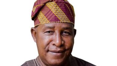 Why I produced ‘Her Excellency’ – Oga Bello