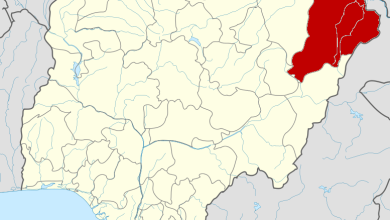 UPDATED: Bomb explosion kills four travellers in Borno