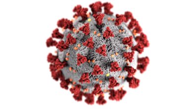 COVID-19: New variant NB.1.8.1 detected in travellers arriving US