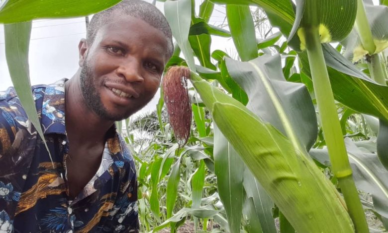INTERVIEW: How I use AI to promote food security – Farmer INTERVIEW: How I use AI to promote food security – Farmer