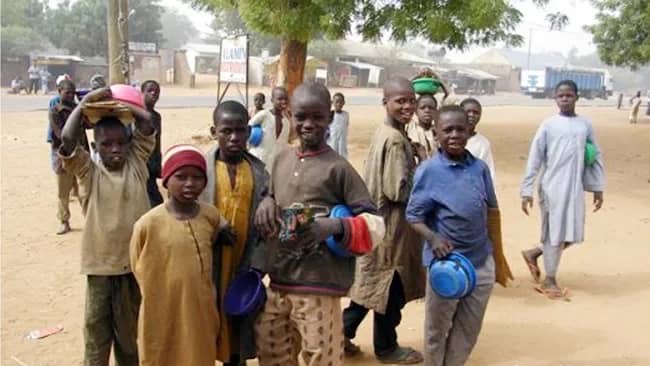 Nigerian govt enrols 18,670 Almajiri tutors into conventional school system – Official Nigerian govt enrols 18,670 Almajiri tutors into conventional school system – Official