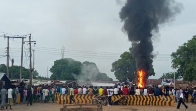 IBB university students protest after robbers killed mate