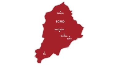 JUST IN: Bomb explosion kills four travellers in Borno