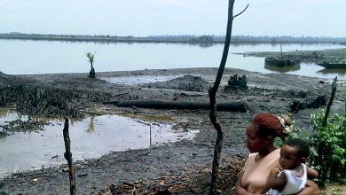 BREAKING: UK court rules against Shell over Nigerian oil spill