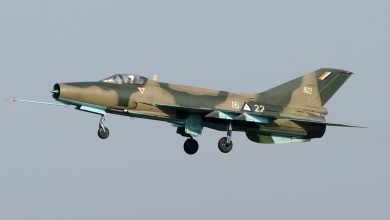 Airstrikes kill terrorists in Niger – NAF