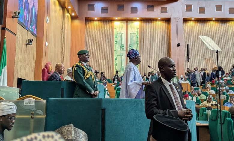 Nigeria will not become one-party state – Tinubu