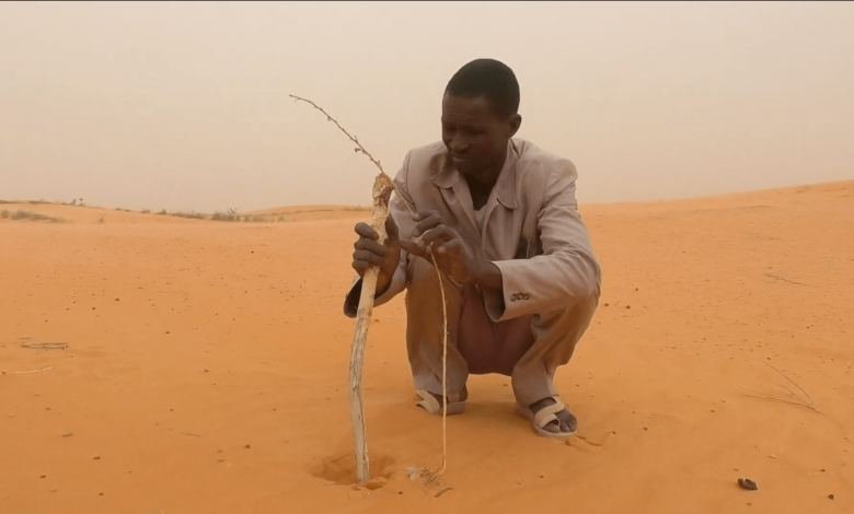 Consumed by Terror: Africa’s ambitious Great Green Wall faces crucial threat (1) Consumed by Terror: Africa’s ambitious Great Green Wall faces crucial threat (1)