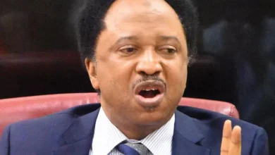 You lack moral ground to criticise Tinubu, Shehu Sani fires back at El-Rufai, Amaechi