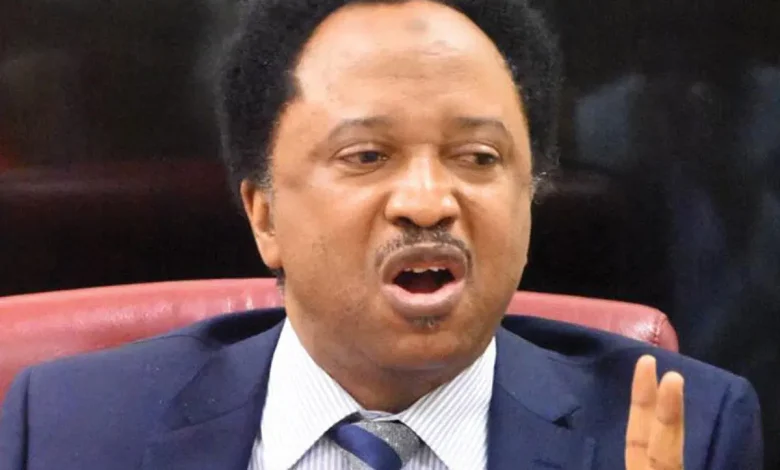 You lack moral ground to criticise Tinubu, Shehu Sani fires back at El-Rufai, Amaechi You lack moral ground to criticise Tinubu, Shehu Sani fires back at El-Rufai, Amaechi