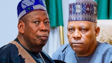 Ganduje’s resignation part of ploy to unseat VP Shettima – Borno residents