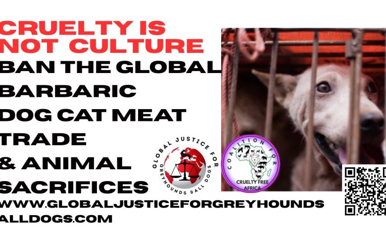 Group Calls for ban on dog meat trade, ritual animal sacrifices in Nigeria Group Calls for ban on dog meat trade, ritual animal sacrifices in Nigeria