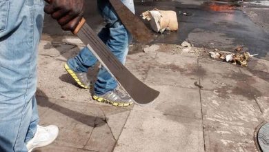 TASUED: Police Arrest 14 Suspected Cultists, Foil Kidnapping In Ogun Waterside LG