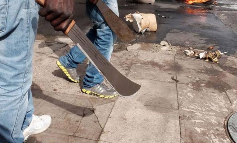 TASUED: Police Arrest 14 Suspected Cultists, Foil Kidnapping In Ogun Waterside LG TASUED: Police Arrest 14 Suspected Cultists, Foil Kidnapping In Ogun Waterside LG