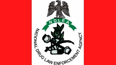 NDLEA rehabilitates 33 drug users in Imo – Official
