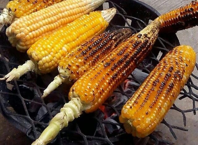 Cost of corn rises in Enugu Cost of corn rises in Enugu