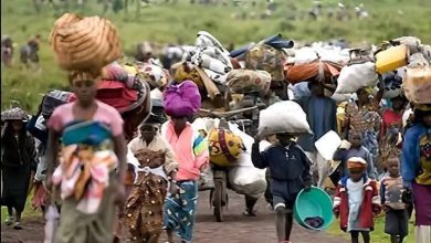 Insurgents kill 2, displace Borno community
