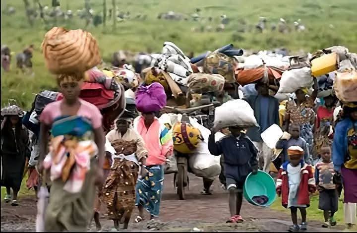 Insurgents kill 2, displace Borno community Insurgents kill 2, displace Borno community