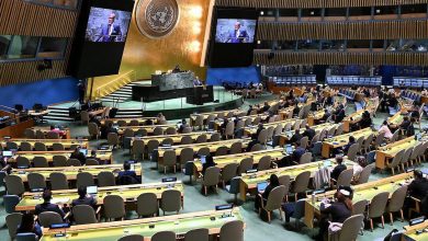 At UN conference, Nigeria reiterates two-state solution to end Israel-Palestine conflict