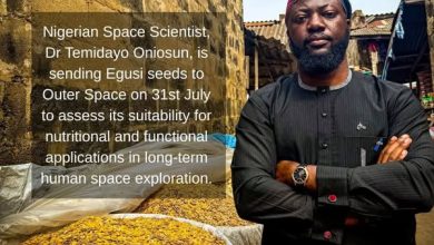 Nigerian scientist sends egusi seeds to space in landmark scientific experiment