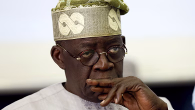Sycophants Around Tinubu, Things Are Not Okay – APC’s Adamu Garba