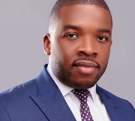 Social infrastructure as a catalyst for inclusive development in Africa, By Ebuka Nwaka