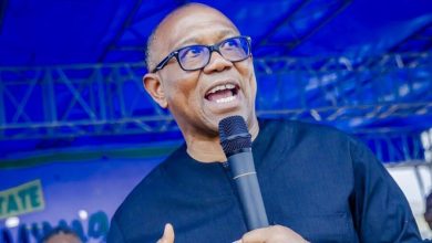 Peter Obi accuses Tinubu of ‘overfeeding’ Nigerians with wrong statistics