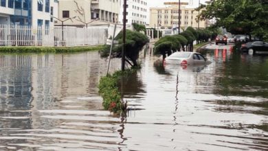 Five dead, 55 injured in Yola flood – NEMA