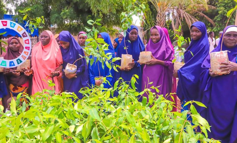 Jigawa ACRESAL, PADAC launch tree planting campaign Jigawa ACRESAL, PADAC launch tree planting campaign